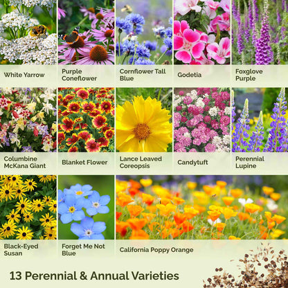 Graphic displaying contents of deer resistant wildflower mix
