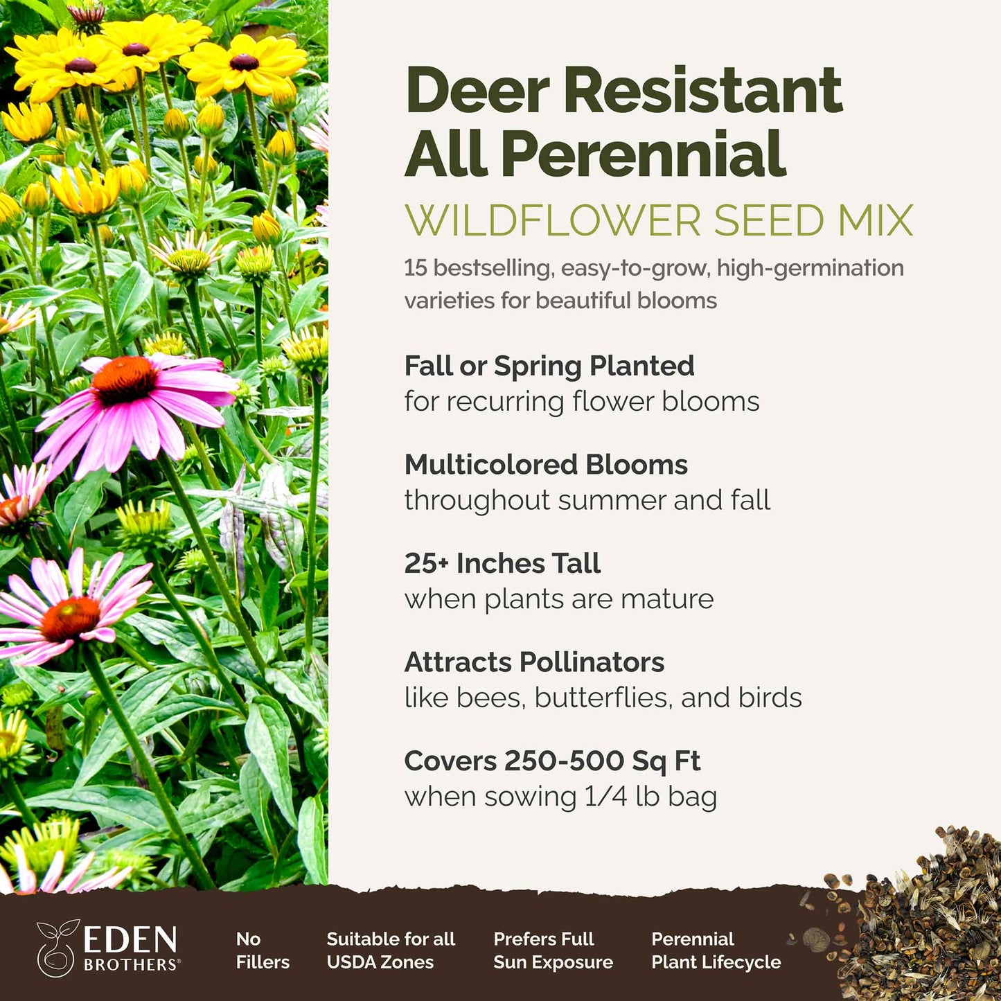 A visual overview of the wildflower seed mix, showcasing expected floral blooms.