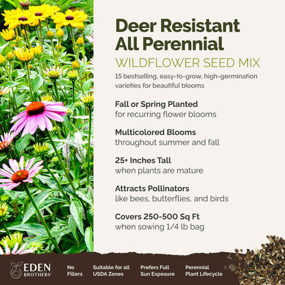 A visual overview of the wildflower seed mix, showcasing expected floral blooms.