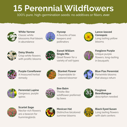 List of flower species and seeds included in the Wildflower Seed Mix.