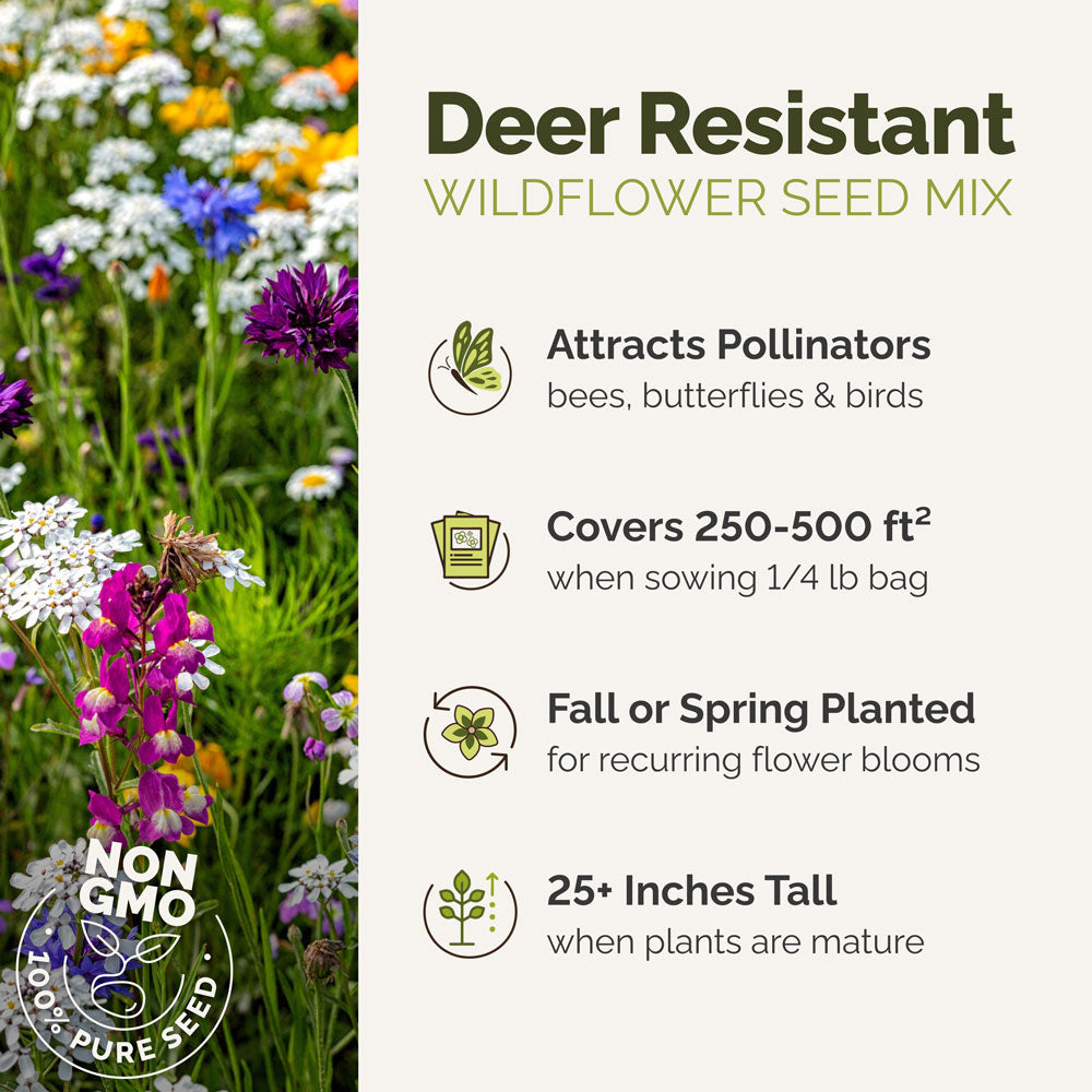 Deer resistant wildflower seed mix with benefits listed on a white background