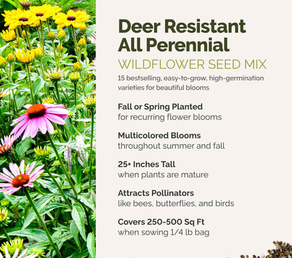 A visual overview of the wildflower seed mix, showcasing expected floral blooms.