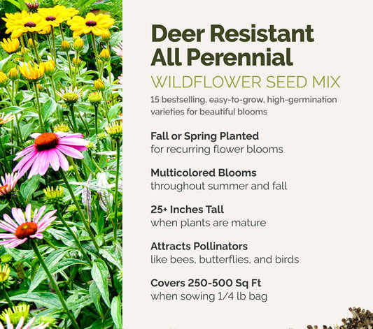 A visual overview of the wildflower seed mix, showcasing expected floral blooms.