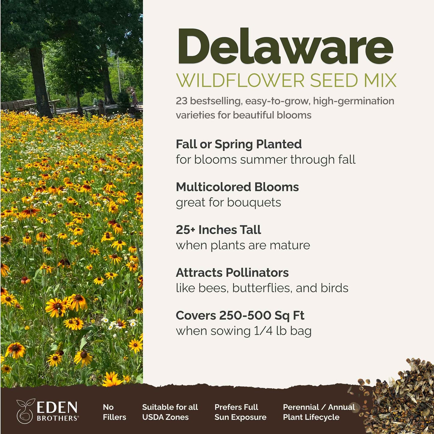 A visual overview of the wildflower seed mix, showcasing expected floral blooms.