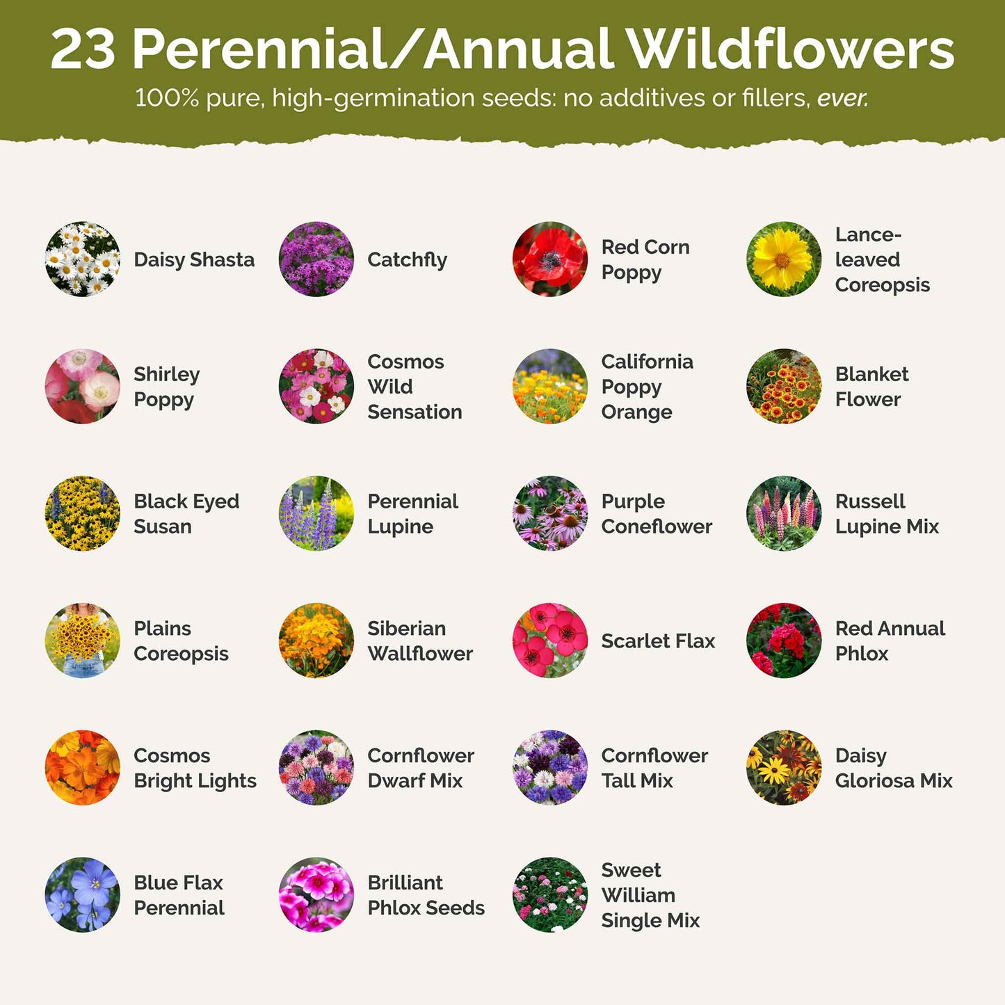 List of flower species and seeds included in the Wildflower Seed Mix.