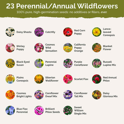 List of flower species and seeds included in the Wildflower Seed Mix.