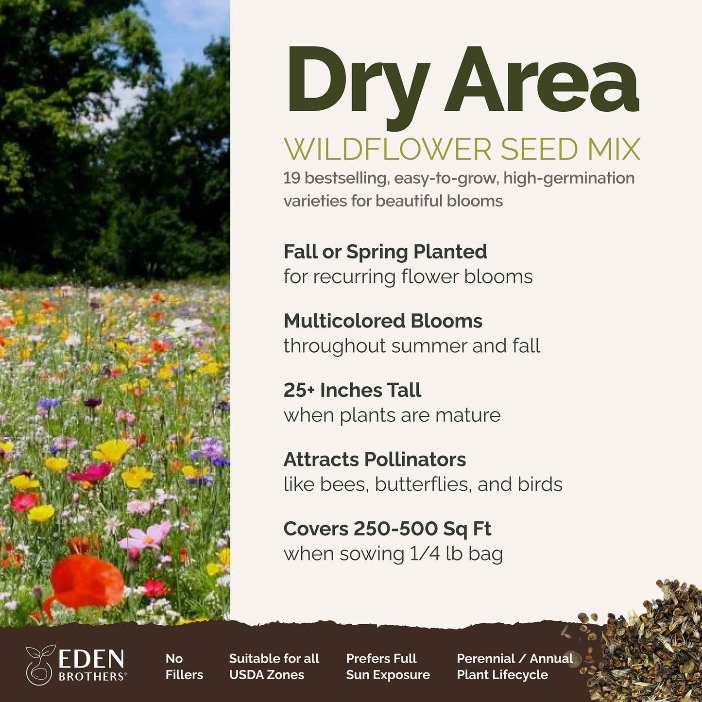 A visual overview of the wildflower seed mix, showcasing expected floral blooms.