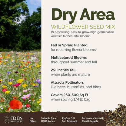 A visual overview of the wildflower seed mix, showcasing expected floral blooms.