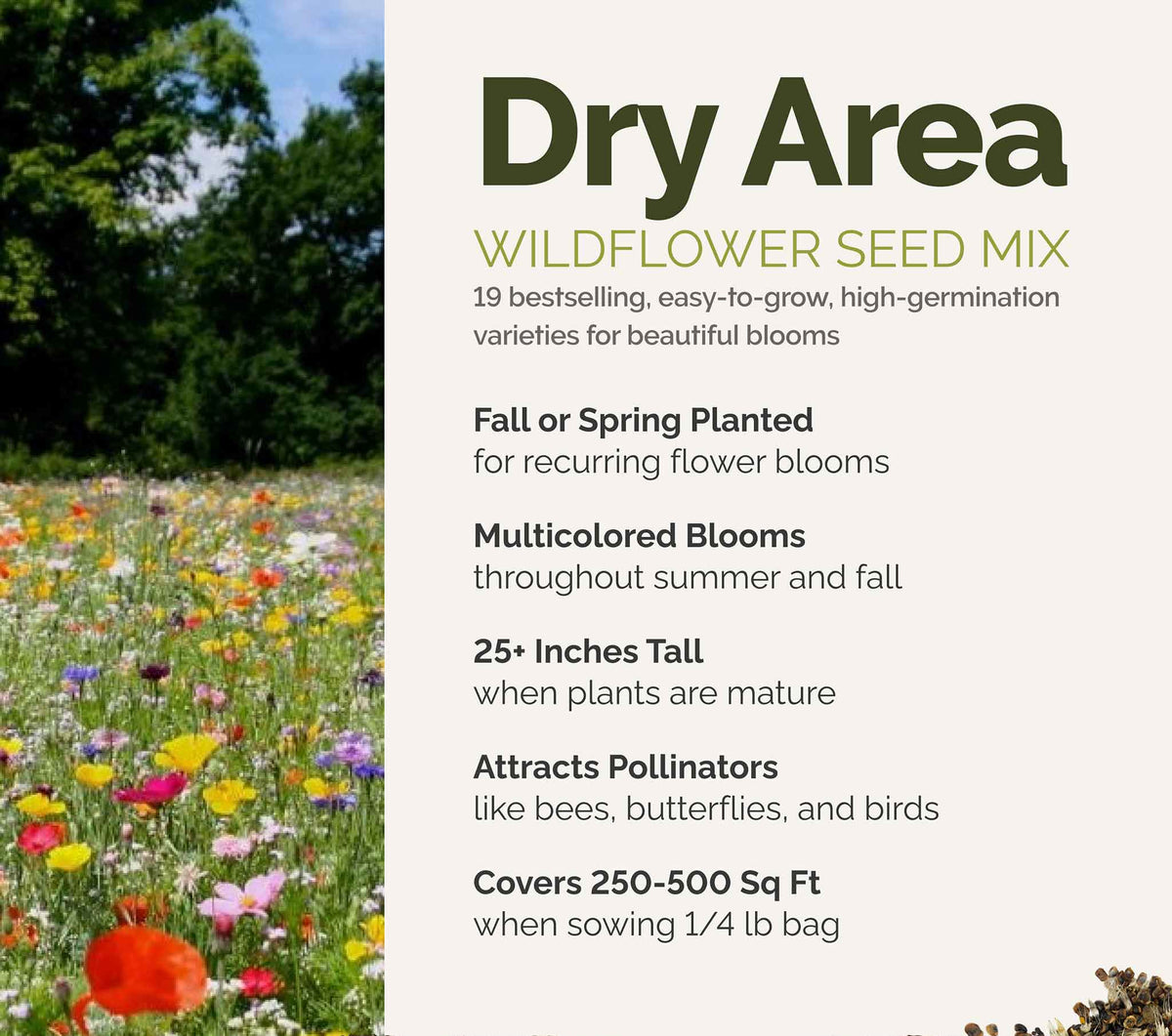 A visual overview of the wildflower seed mix, showcasing expected floral blooms.