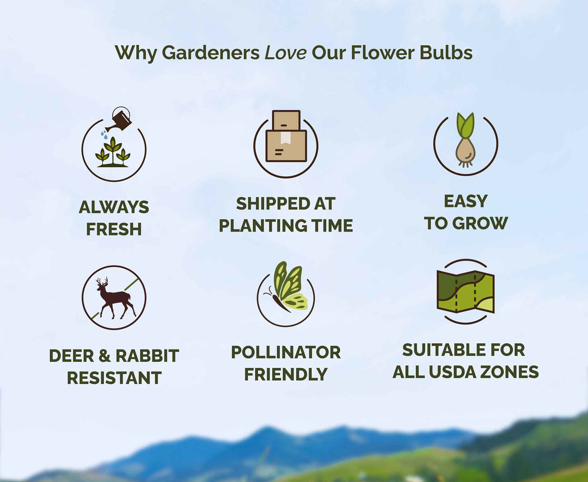 List of reasons why gardeners love flower bulbs with icons and text on a scenic background.