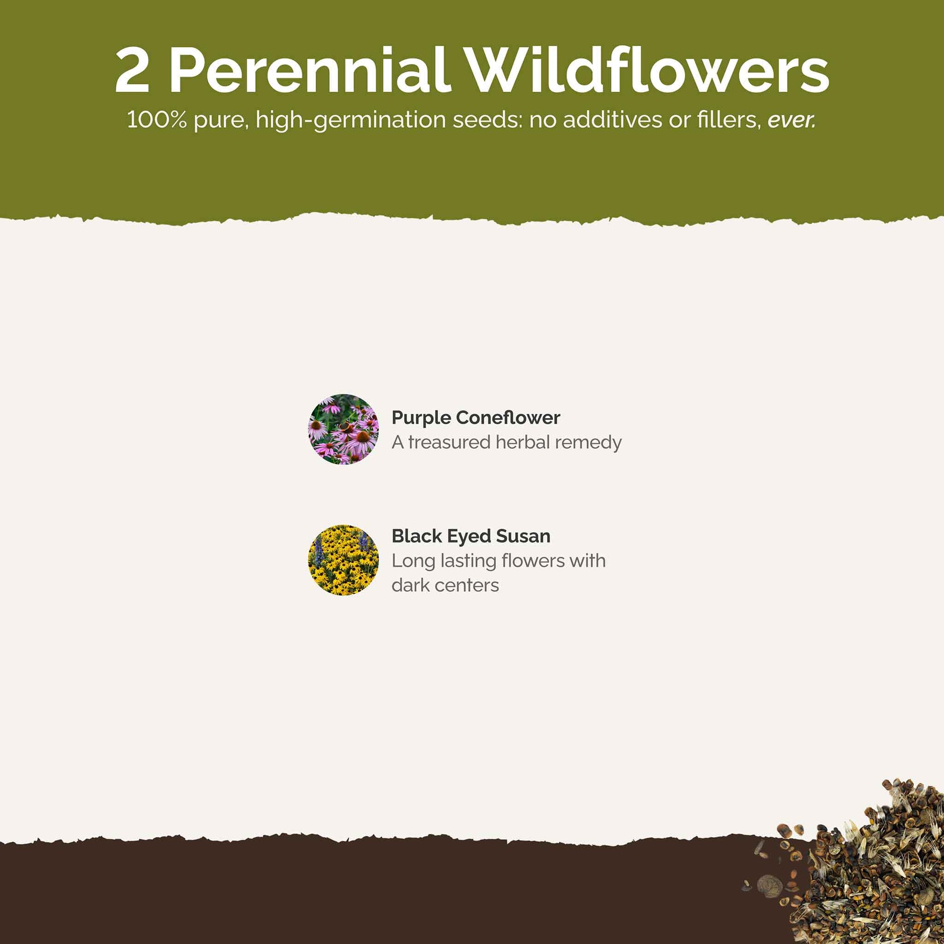 List of flower species and seeds included in the Wildflower Seed Mix.
