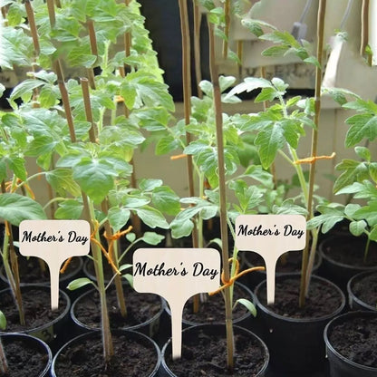 Bamboo Plant Labels