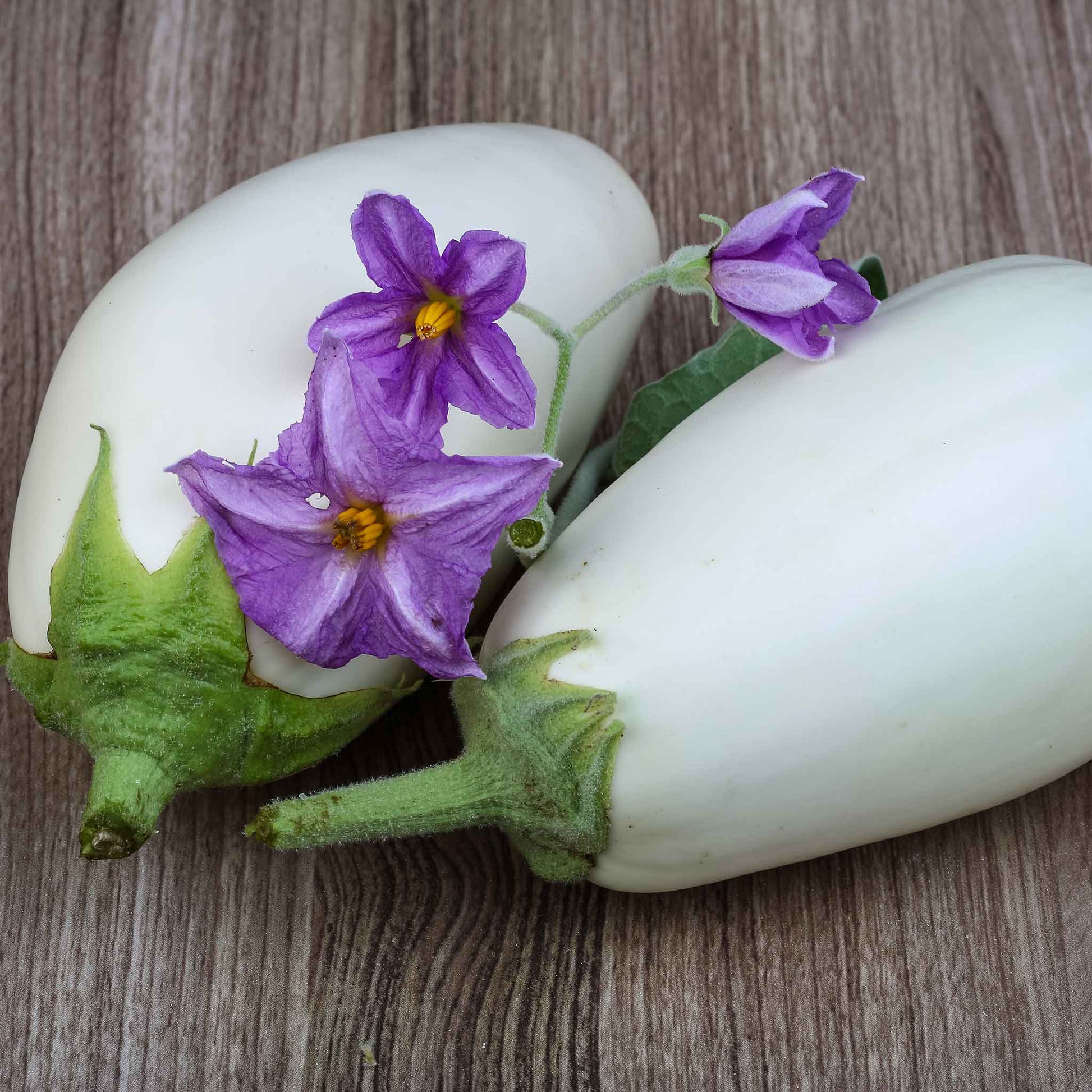 White Casper eggplant with green stem, elongated and slightly curved, against a muted background.