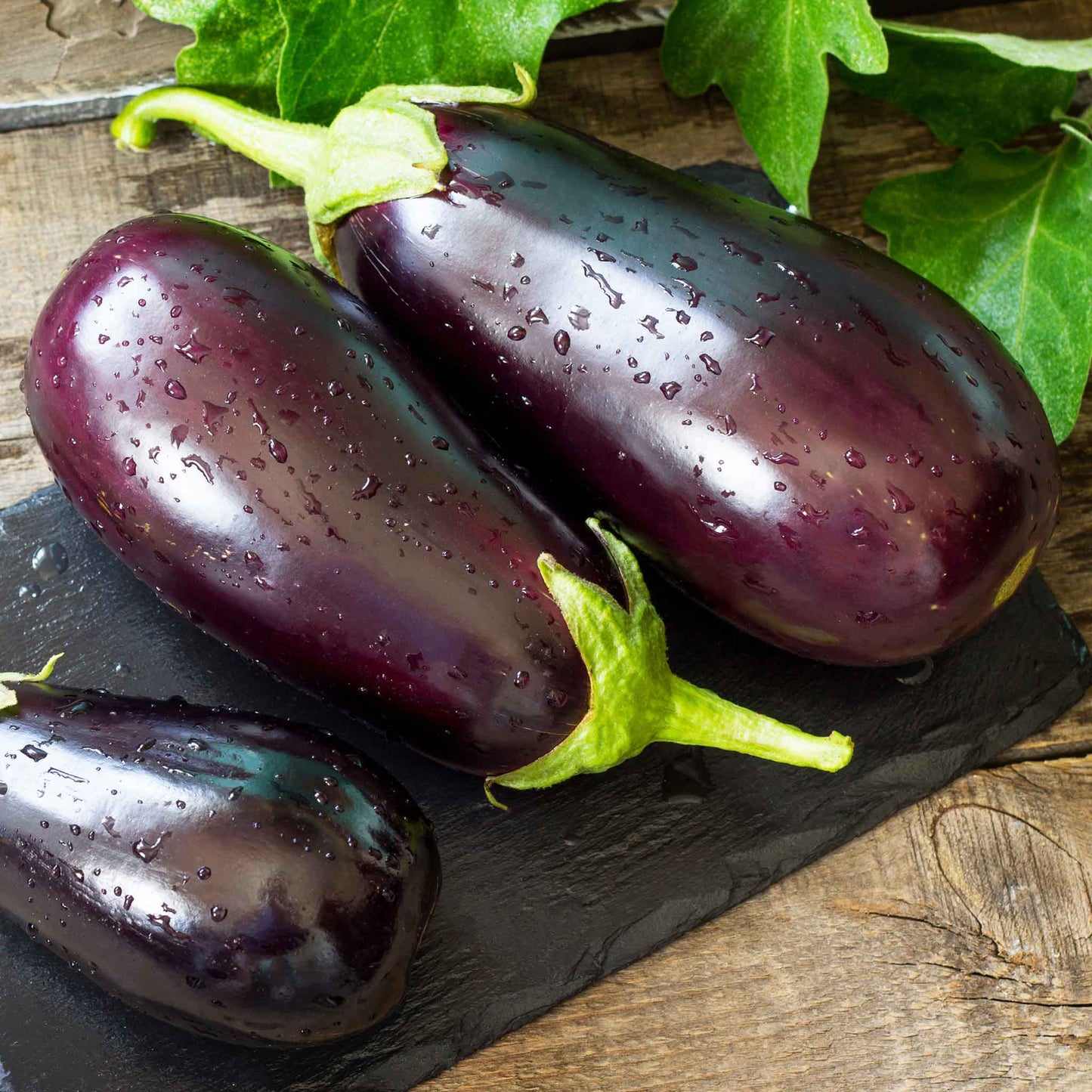 A dark purple eggplant with a green stem, lying horizontally with a glossy skin.