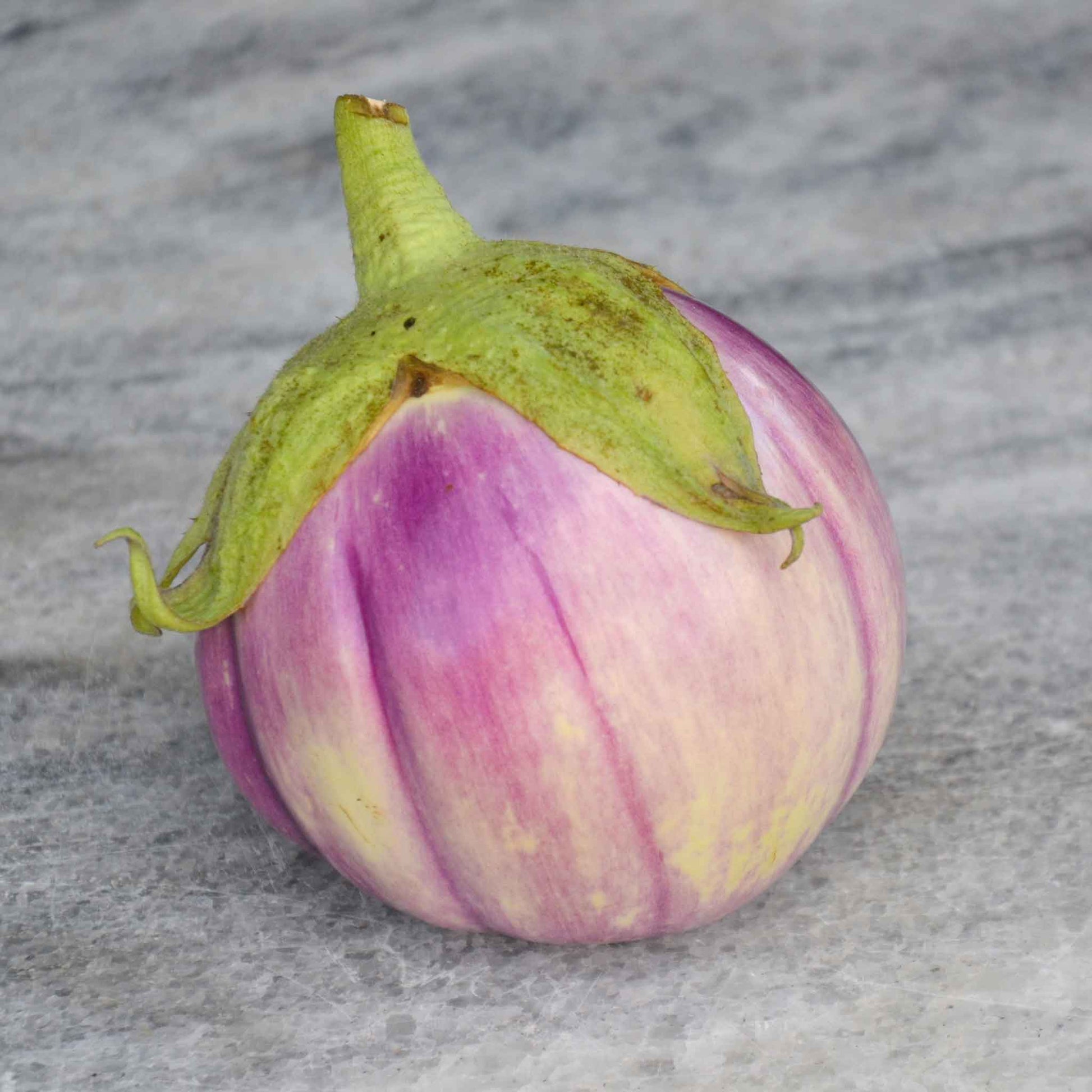 A light purple and white striped Rosa Bianca eggplant with a green stem, set against a muted background.