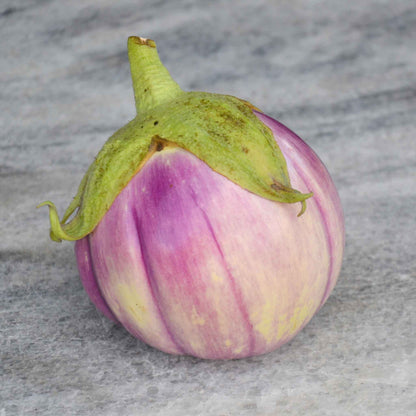 A light purple and white striped Rosa Bianca eggplant with a green stem, set against a muted background.