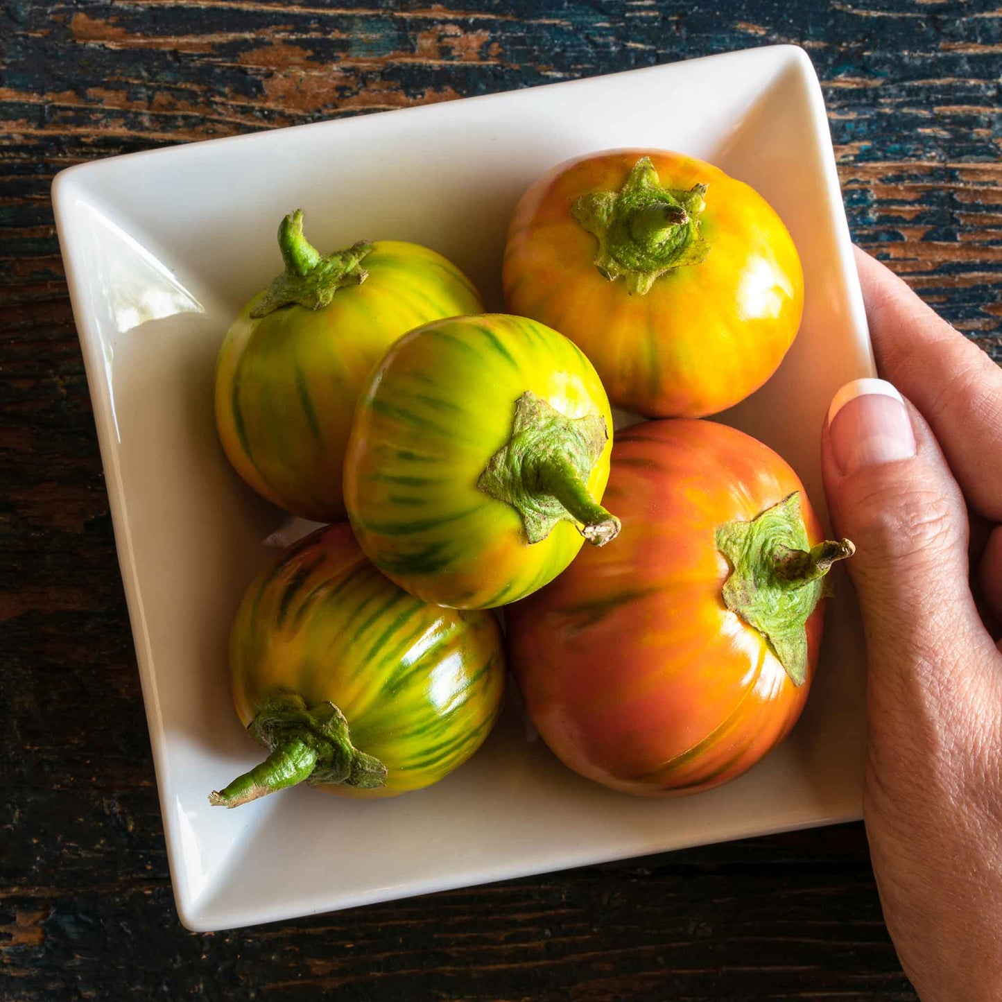 A square plate of Turkish Orange eggplant showing orange, red, and green skin and green stems.