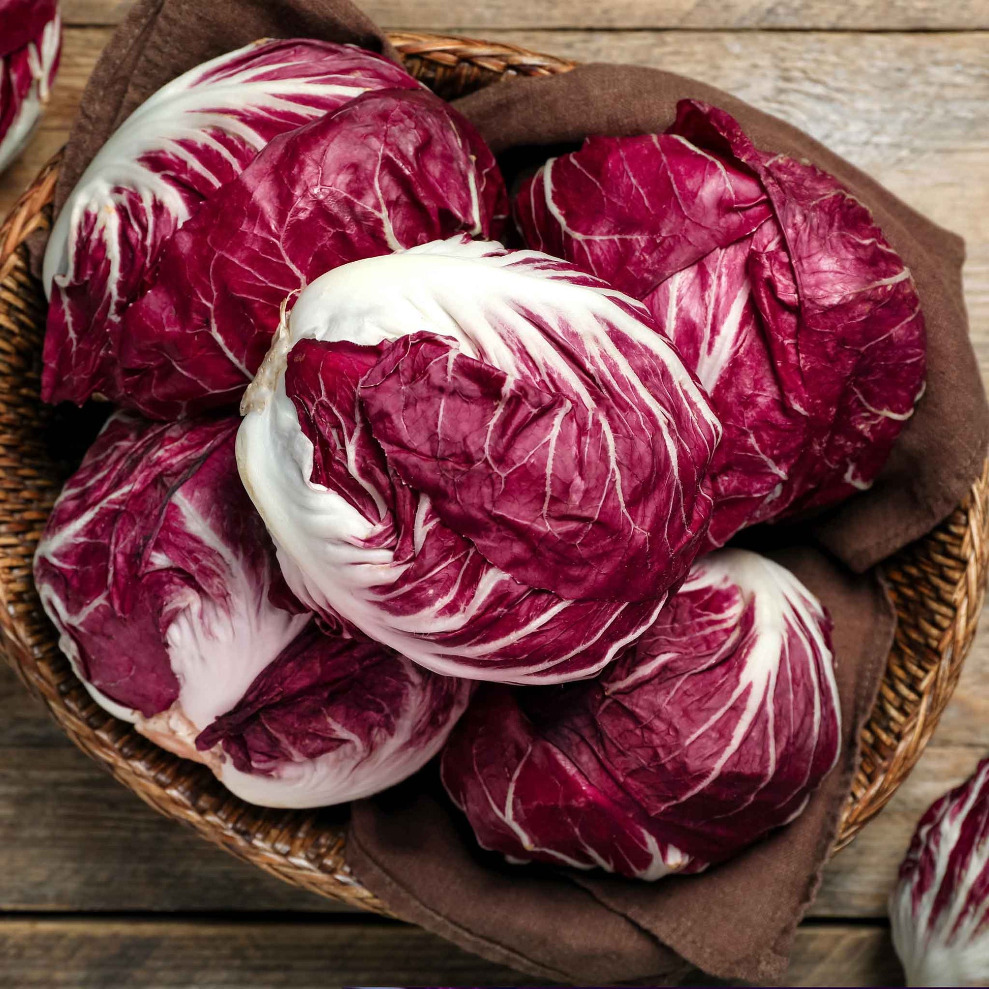 A vibrant red and white Rossa Di Verona Radicchio head with prominent white veins and a slightly ruffled texture.