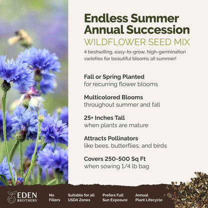 A visual overview of the wildflower seed mix, showcasing expected floral blooms.