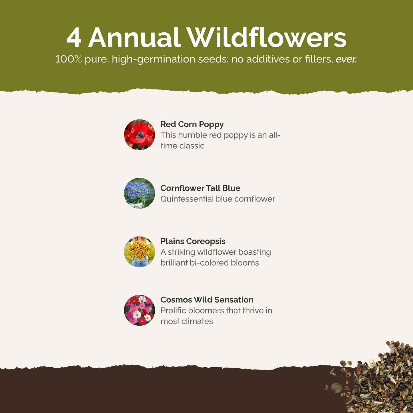 List of flower species and seeds included in the Wildflower Seed Mix.