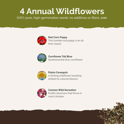 List of flower species and seeds included in the Wildflower Seed Mix.