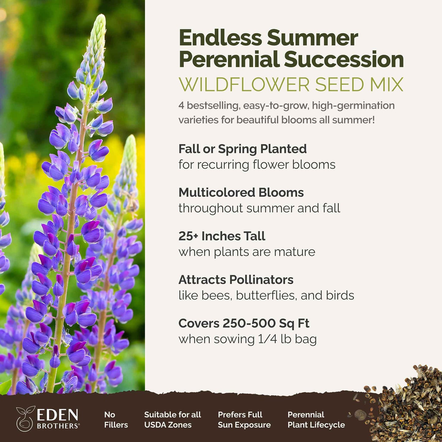A visual overview of the wildflower seed mix, showcasing expected floral blooms.