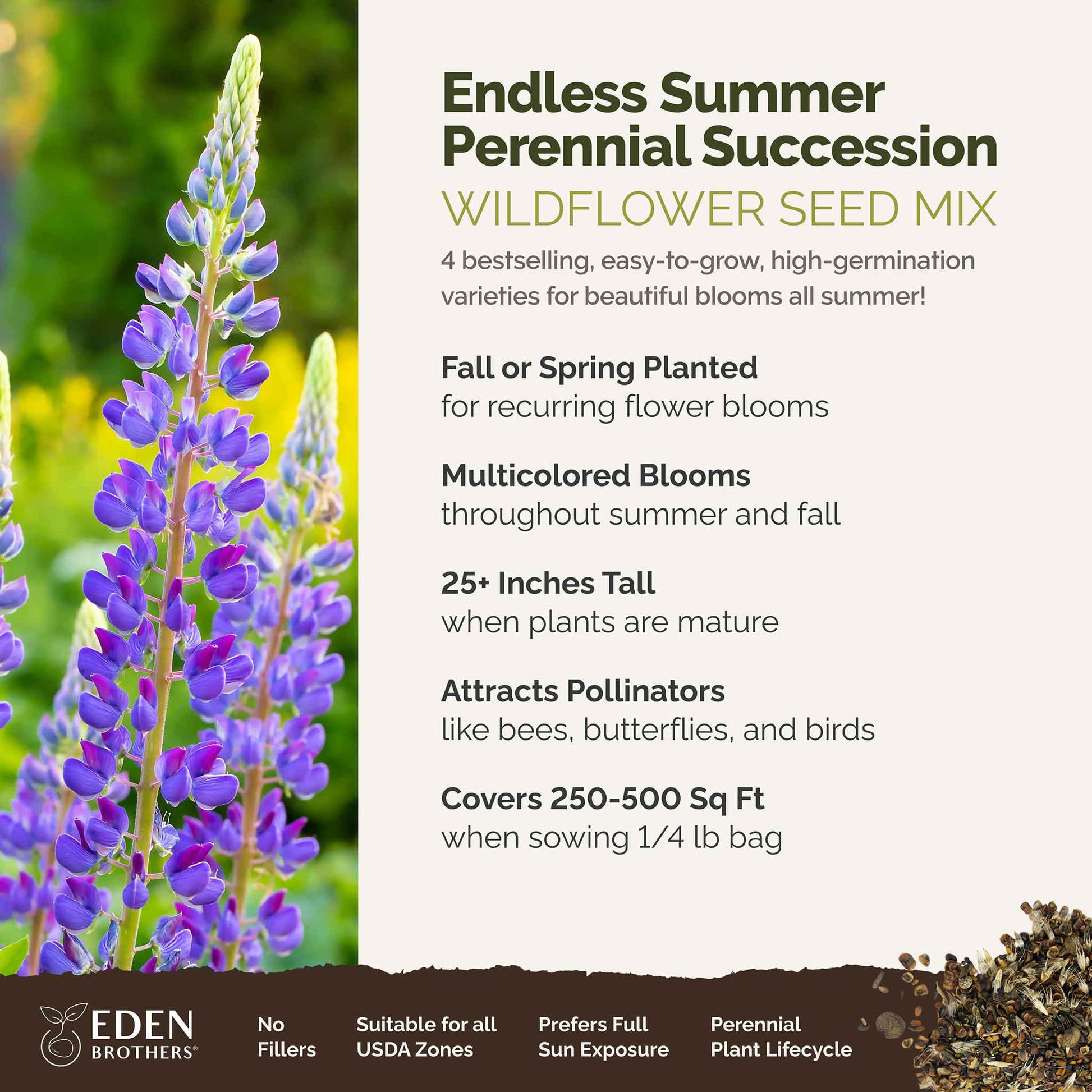 A visual overview of the wildflower seed mix, showcasing expected floral blooms.