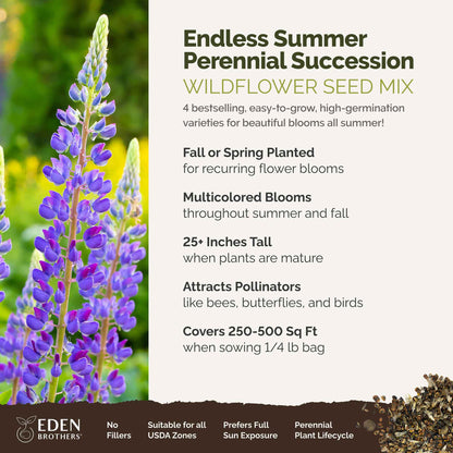 A visual overview of the wildflower seed mix, showcasing expected floral blooms.