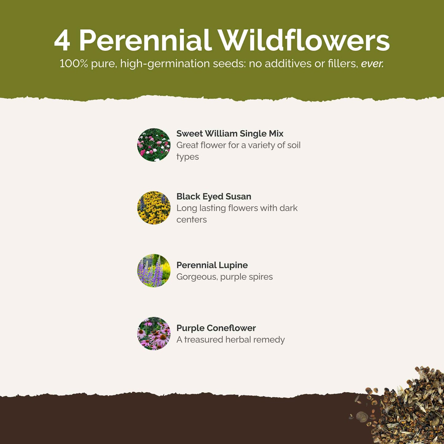 List of flower species and seeds included in the Wildflower Seed Mix.