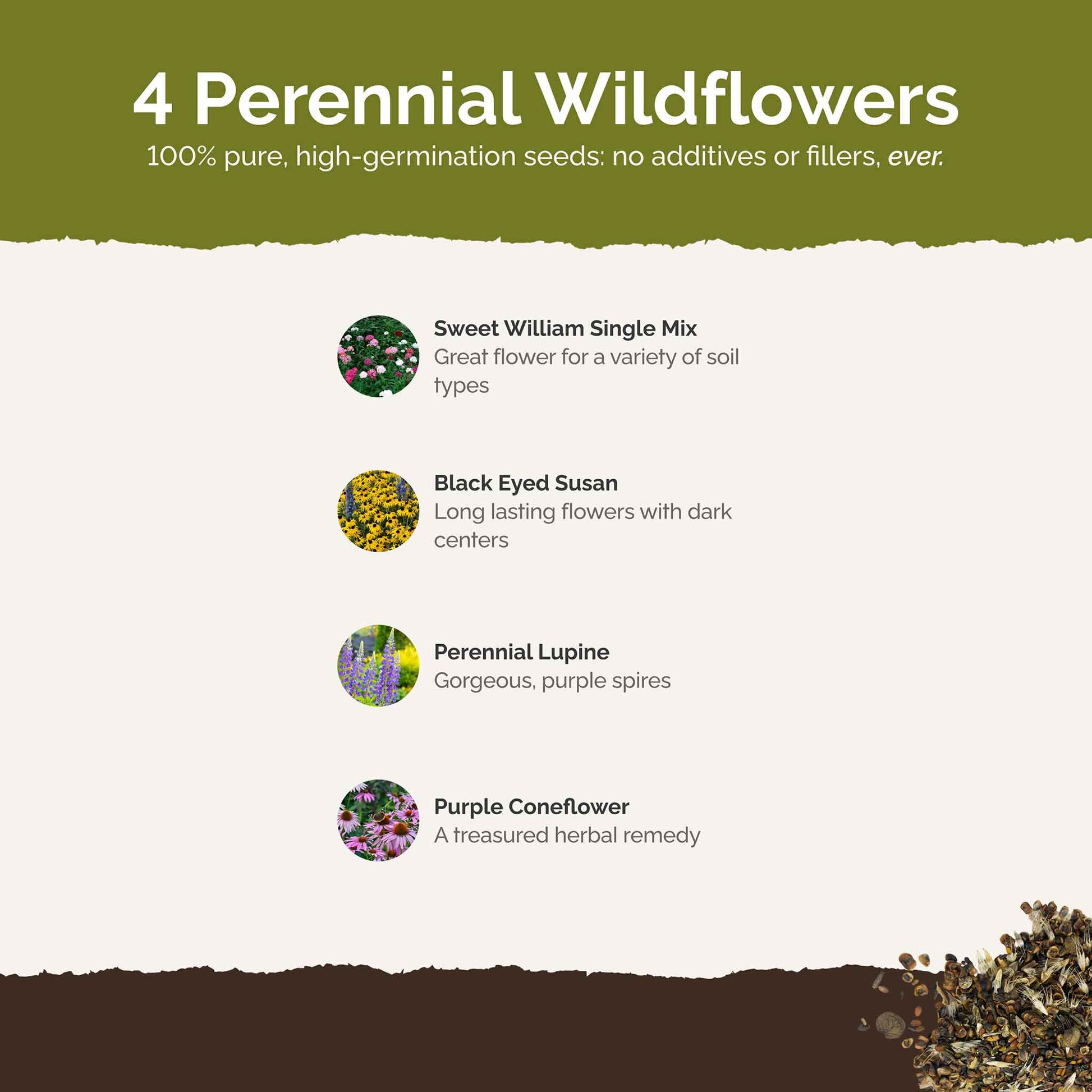 List of flower species and seeds included in the Wildflower Seed Mix.