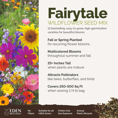 A visual overview of the wildflower seed mix, showcasing expected floral blooms.