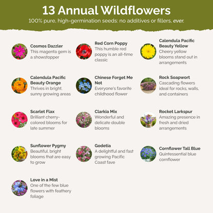 List of flower species and seeds included in the Wildflower Seed Mix.