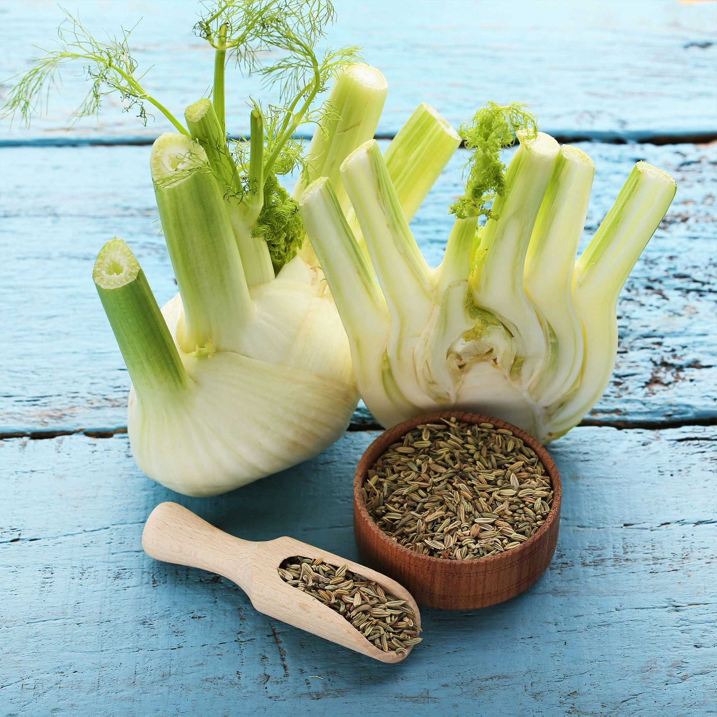 A close-up shot of two Florence fennel bulbs with some seeds in a small bowl.