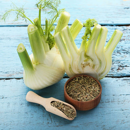A close-up shot of two Florence fennel bulbs with some seeds in a small bowl.