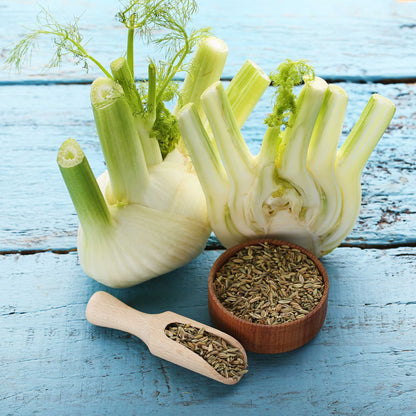 A close-up small, light brown fennel seeds next to organic florence fennel bulbs.