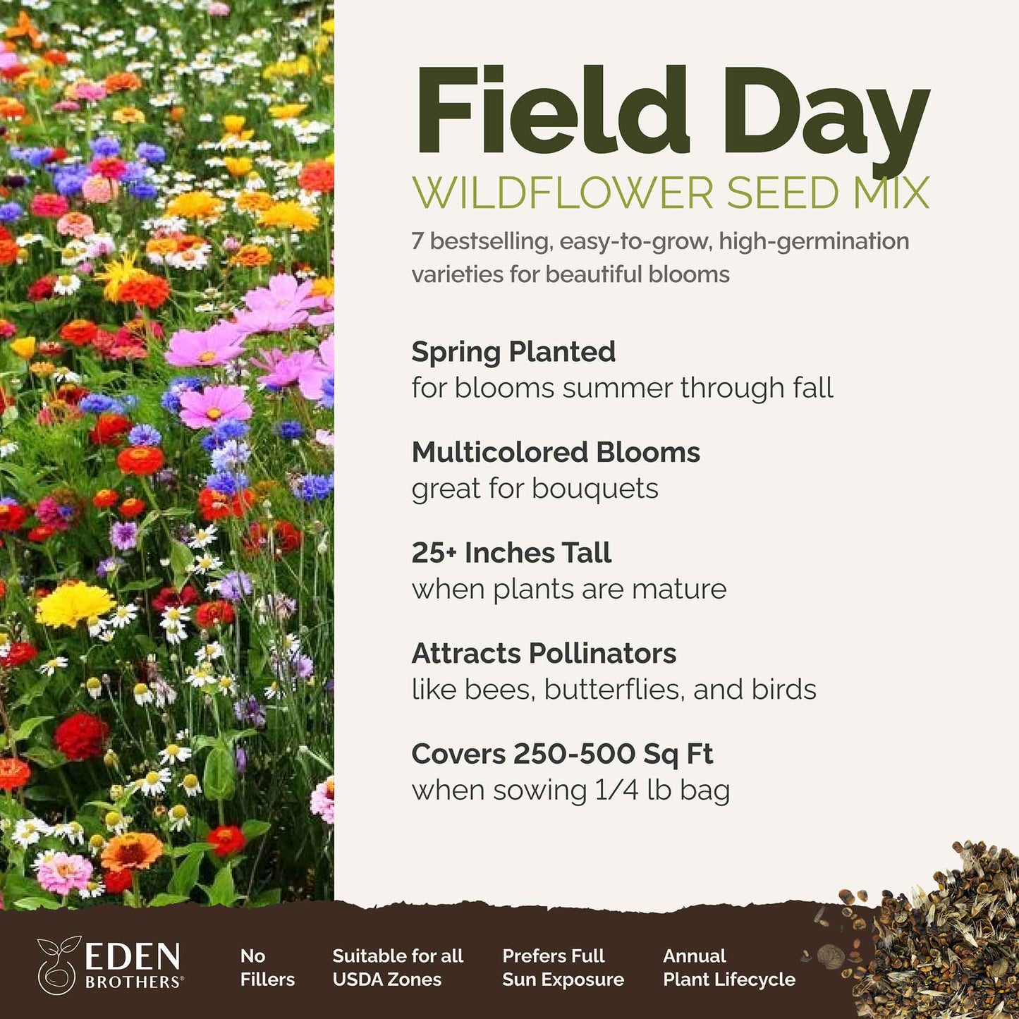 A visual overview of the wildflower seed mix, showcasing expected floral blooms.