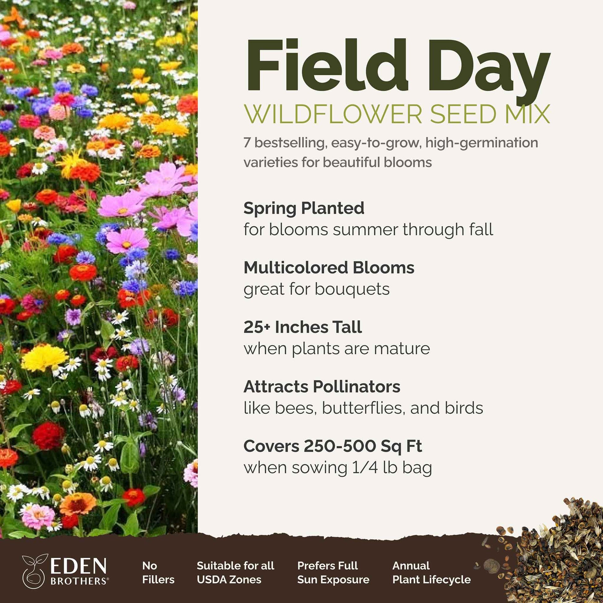 A visual overview of the wildflower seed mix, showcasing expected floral blooms.
