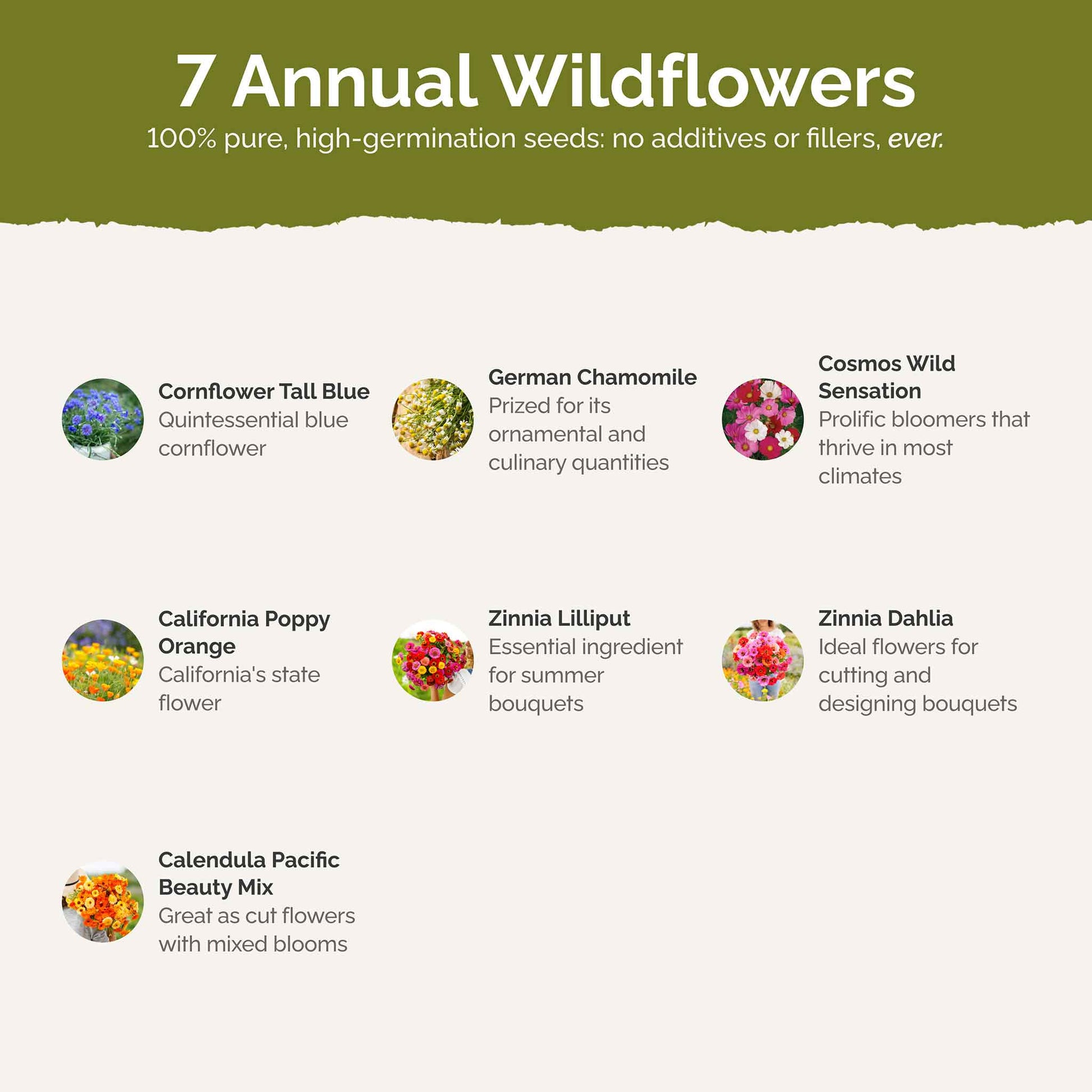 List of flower species and seeds included in the Wildflower Seed Mix.