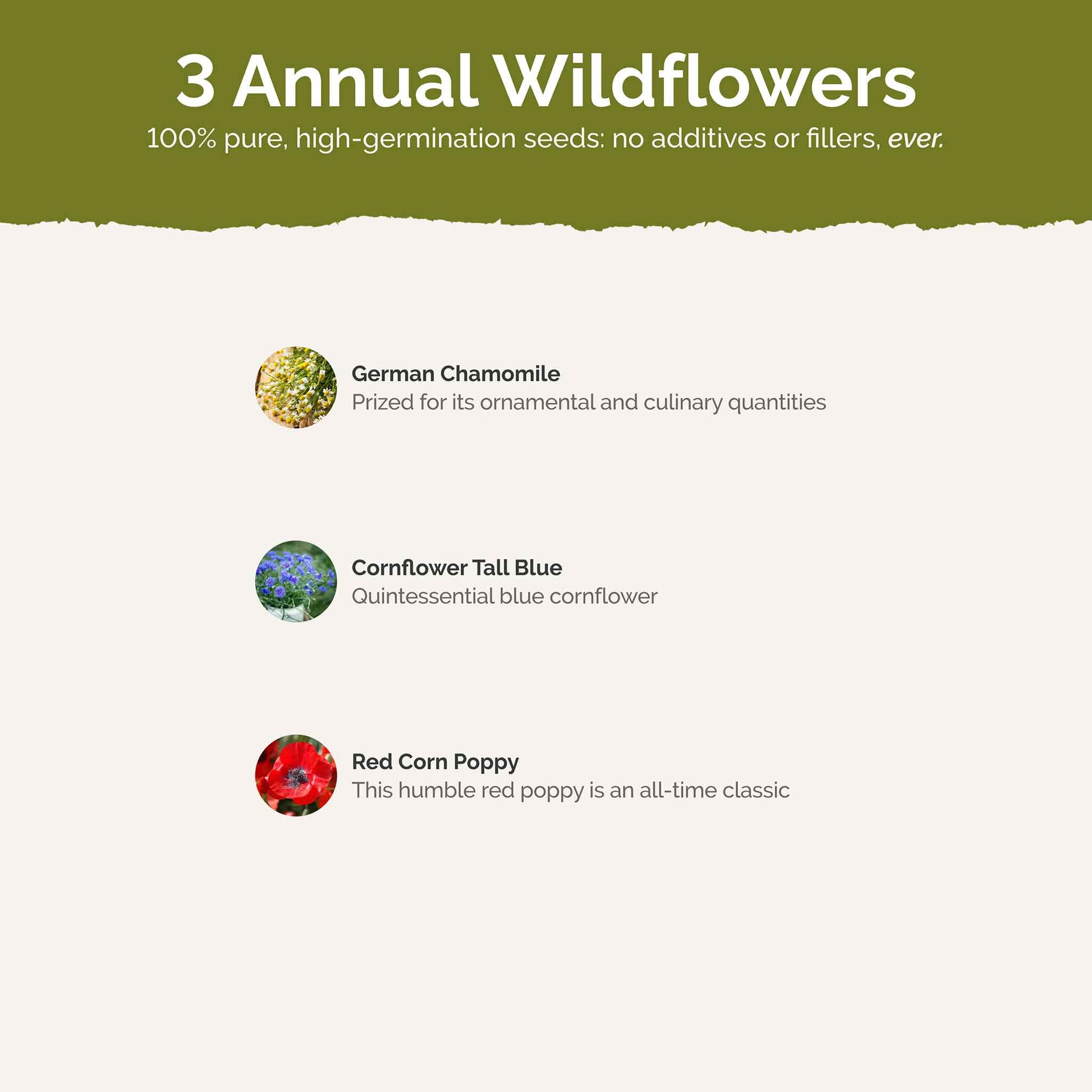 List of flower species and seeds included in the Wildflower Seed Mix.