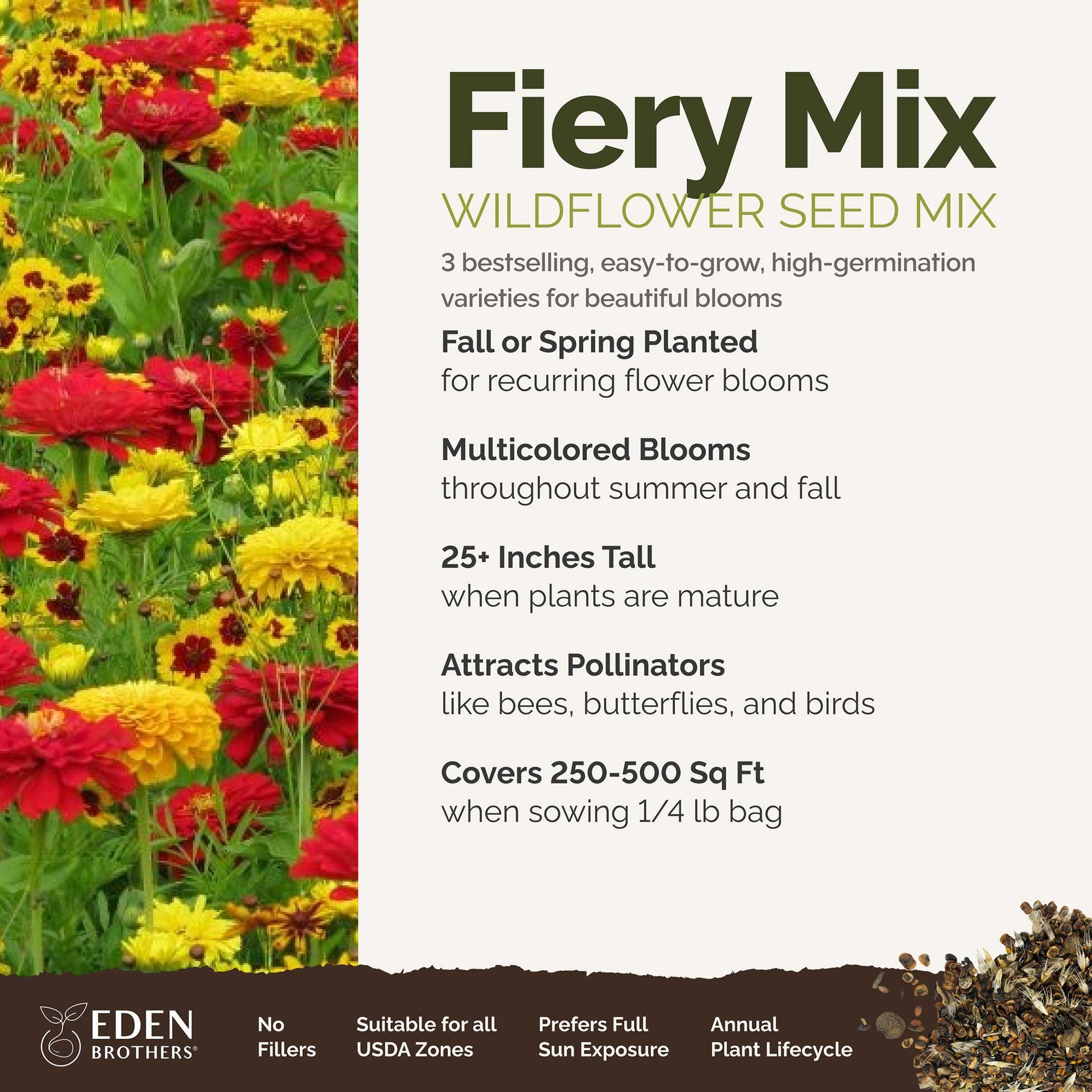 A visual overview of the wildflower seed mix, showcasing expected floral blooms.
