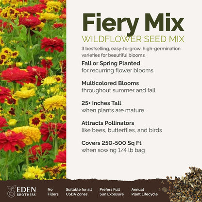 A visual overview of the wildflower seed mix, showcasing expected floral blooms.