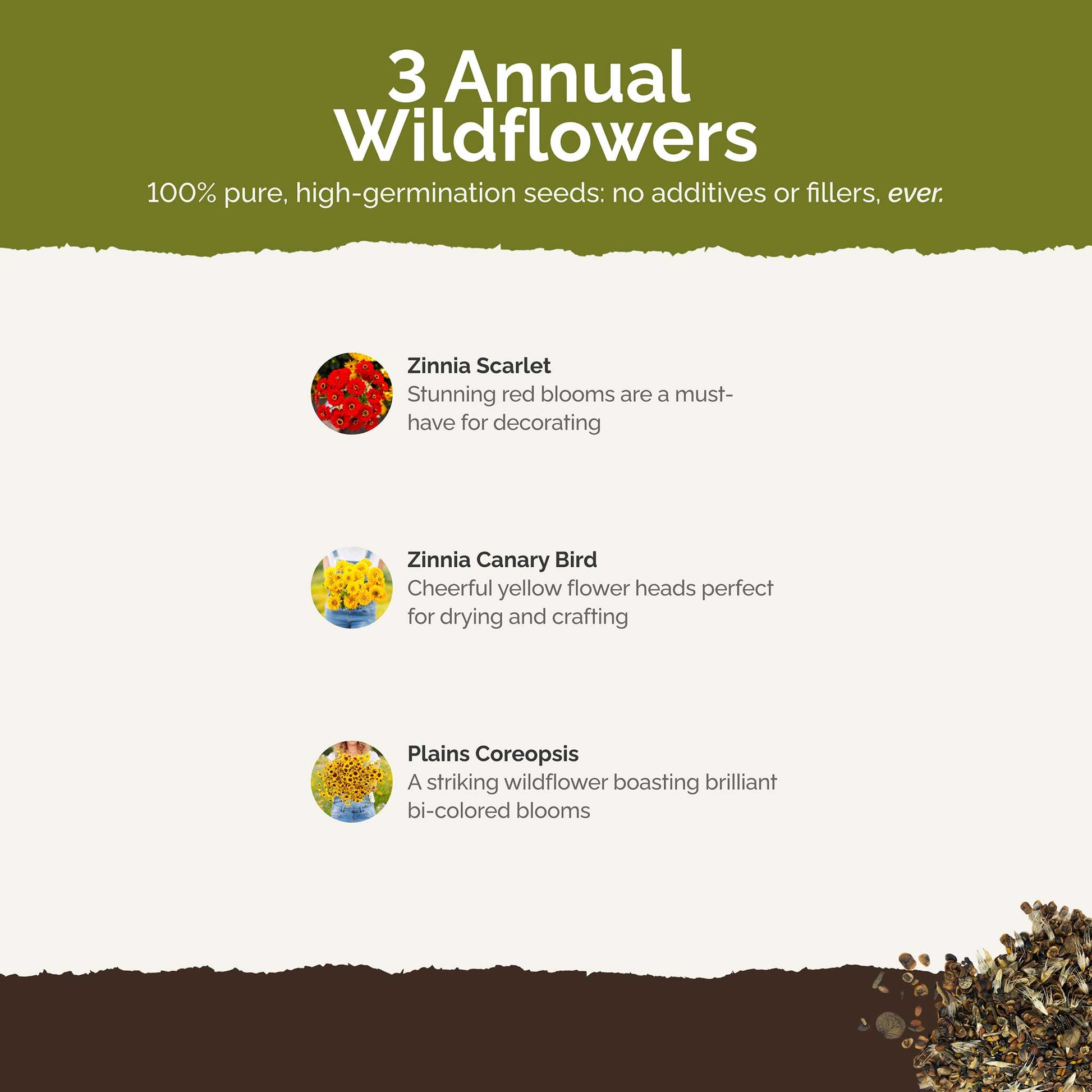List of flower species and seeds included in the Wildflower Seed Mix.