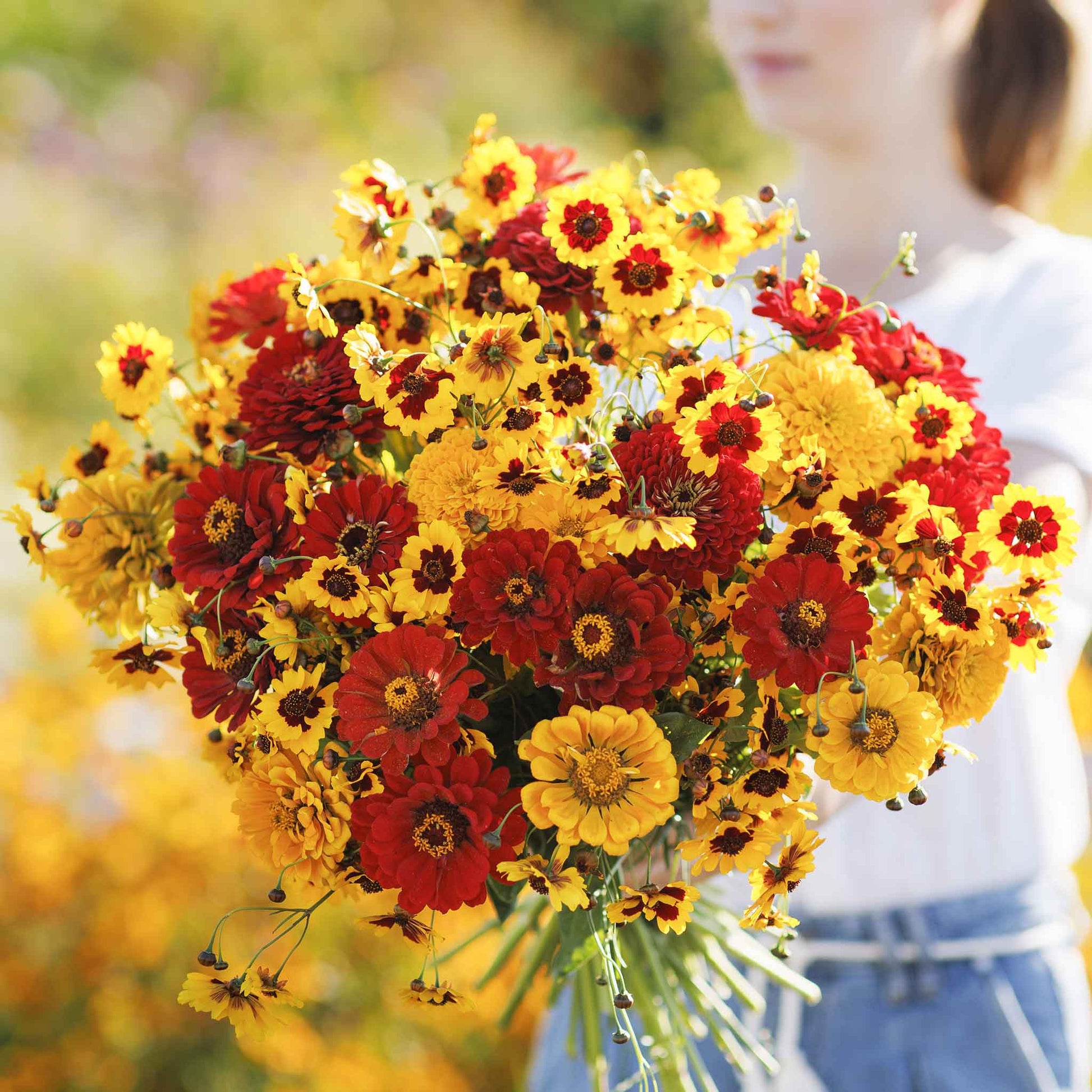 A bouquet of the variety of colors in the Fiery Mix - Yellow & Red Flower Seed Mix