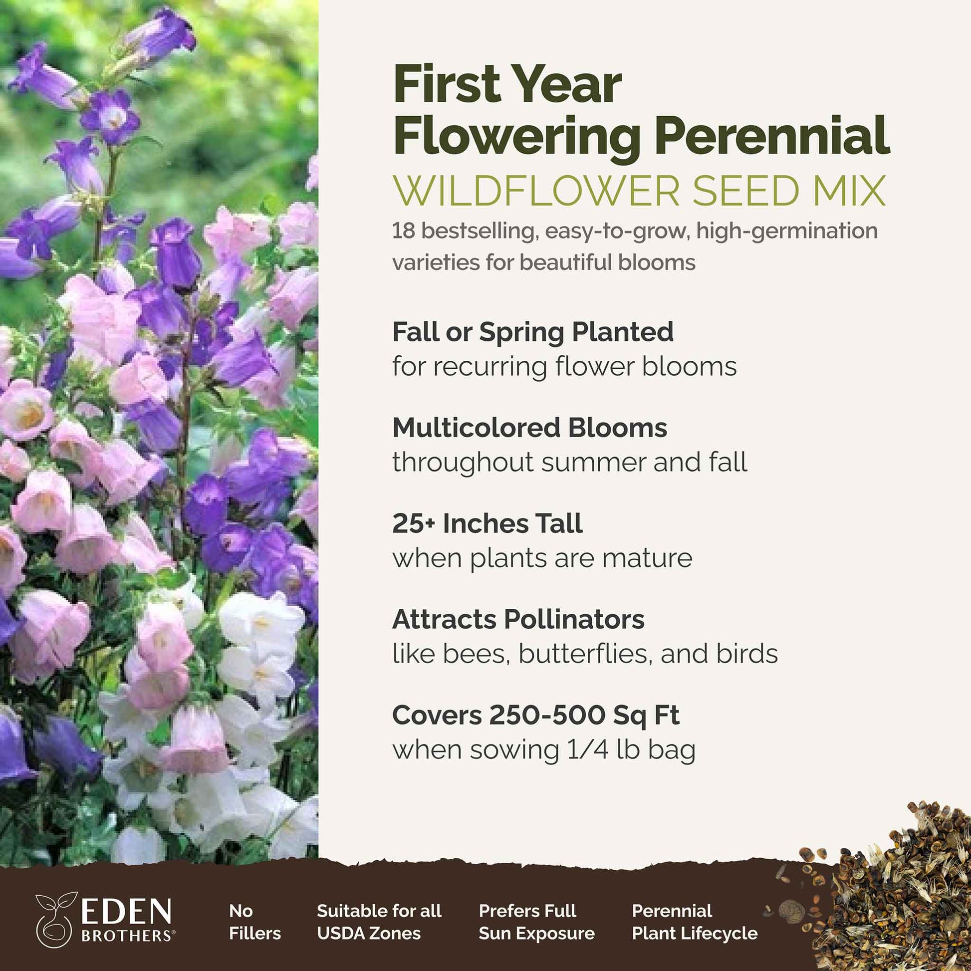A visual overview of the wildflower seed mix, showcasing expected floral blooms.