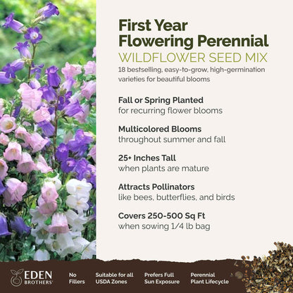 A visual overview of the wildflower seed mix, showcasing expected floral blooms.