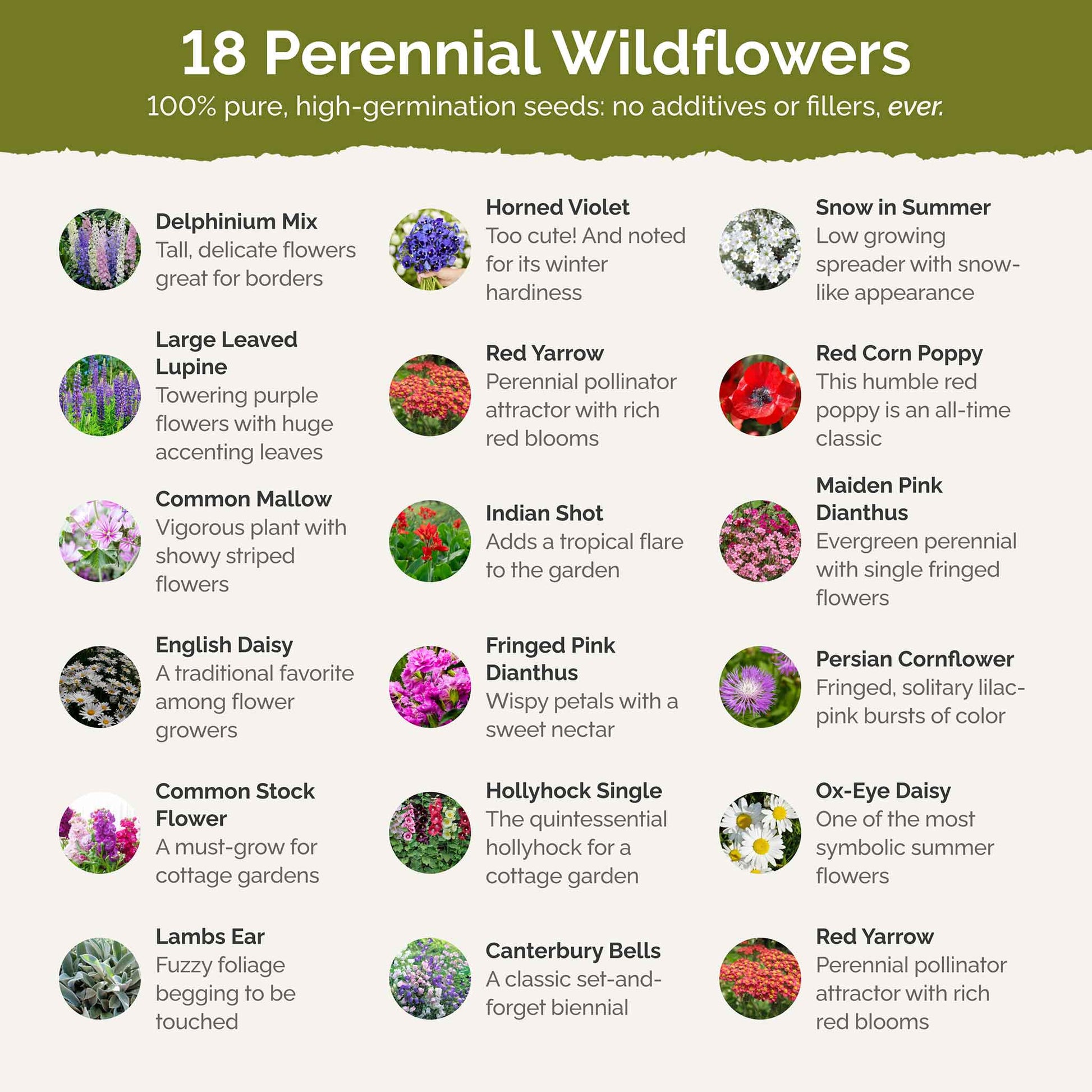 List of flower species and seeds included in the Wildflower Seed Mix.