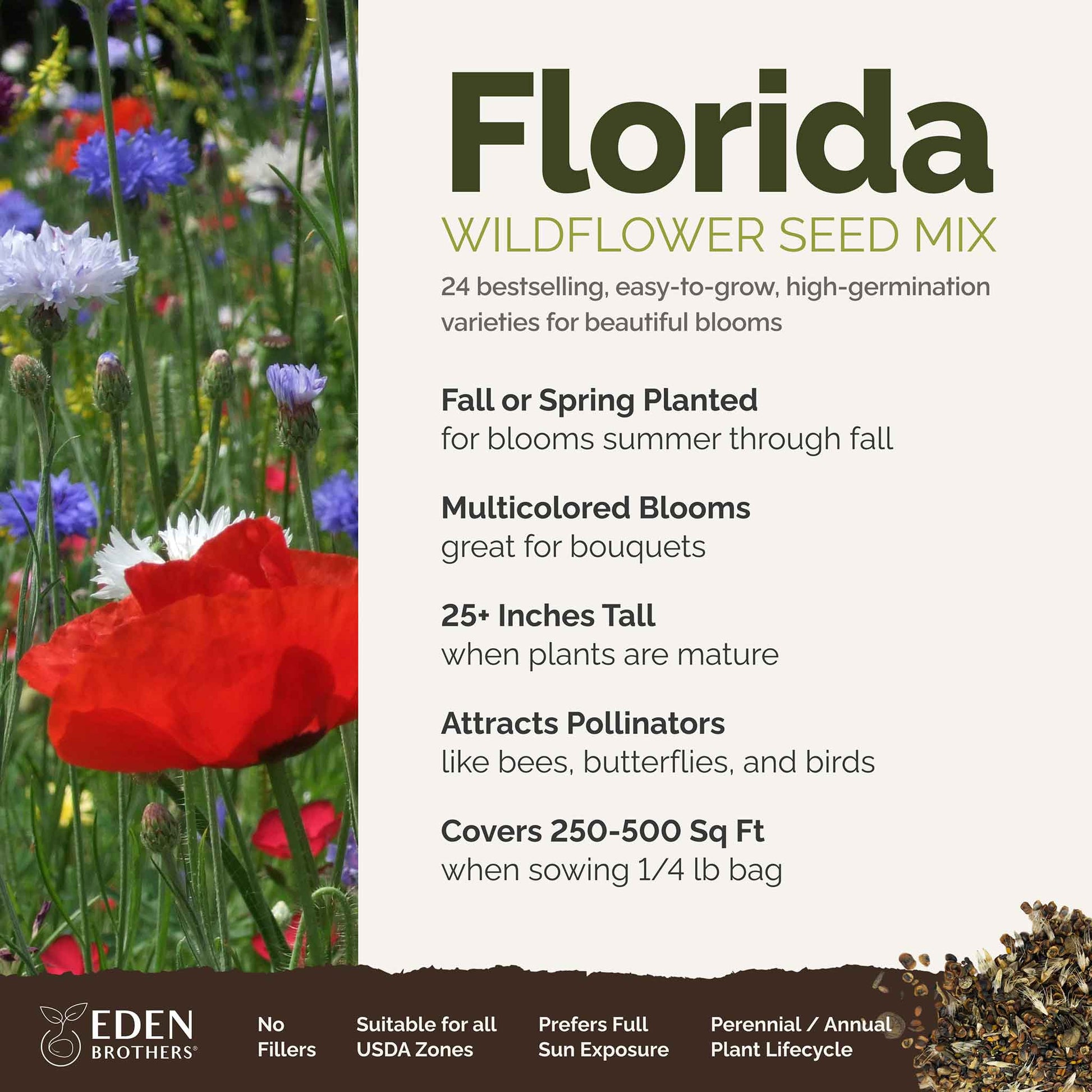 A visual overview of the wildflower seed mix, showcasing expected floral blooms.