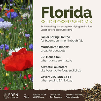 A visual overview of the wildflower seed mix, showcasing expected floral blooms.