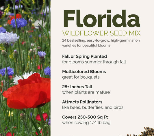 A visual overview of the wildflower seed mix, showcasing expected floral blooms.