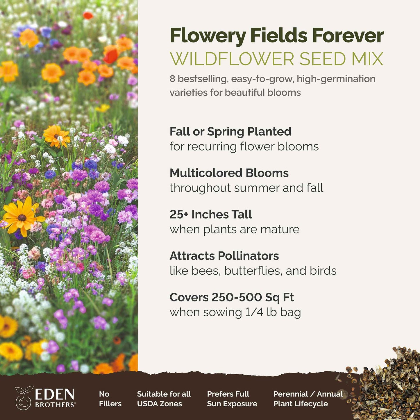 A visual overview of the wildflower seed mix, showcasing expected floral blooms.